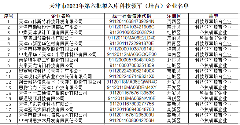 9888拉斯维加斯集团通过天津市科技领军（培育）企业认定